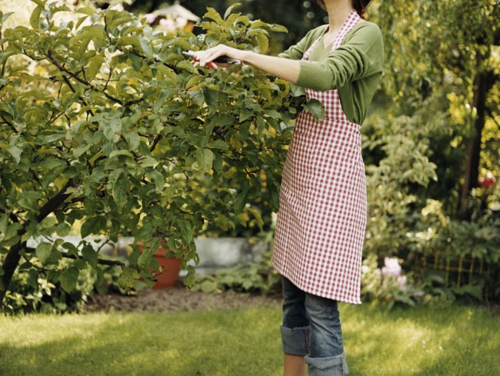 Curare il giardino