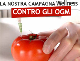 Perché siamo contro gli Ogm