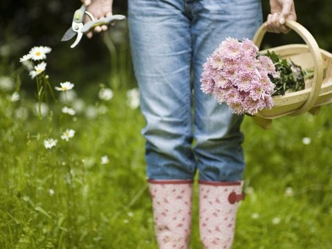 Qui il giardino è tutto un fiore
