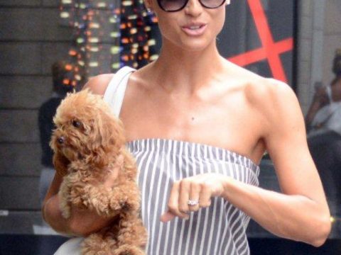 Cagnolini delle STAR: da Michelle Hunziker ad Adele, ogni star ha il suo cucciolo