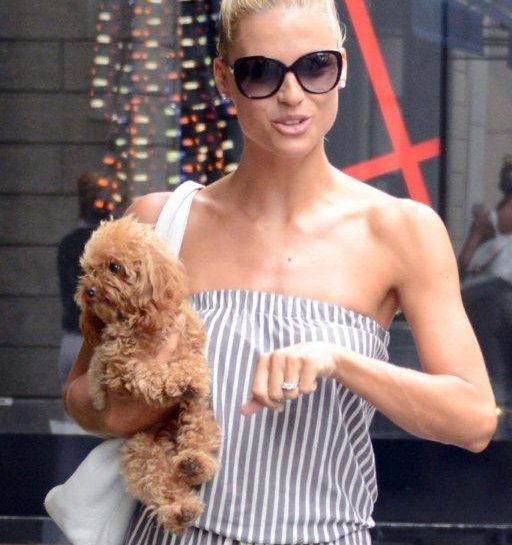 Cagnolini delle STAR: da Michelle Hunziker ad Adele, ogni star ha il suo cucciolo