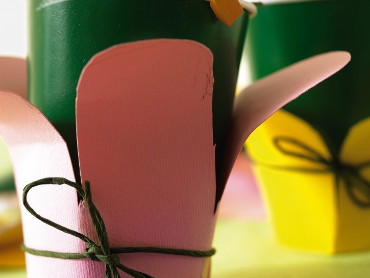 Festa eco in casa: decorazioni fai da te