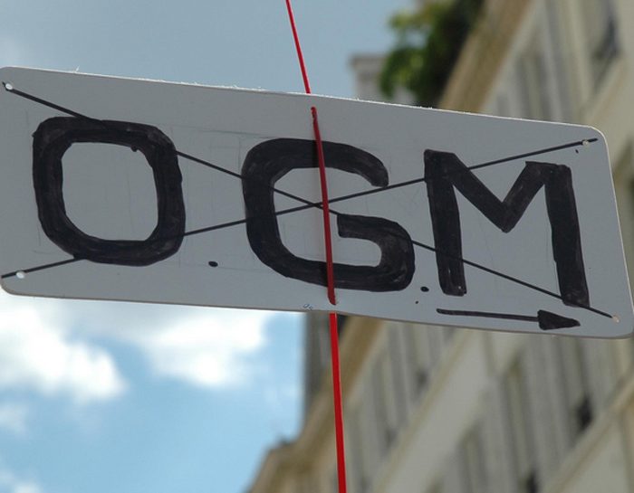 La campagna contro gli Ogm