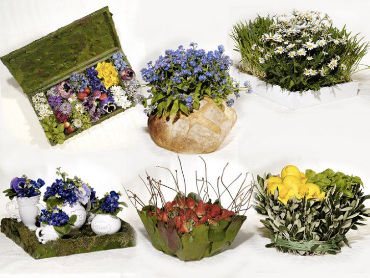Porto la primavera in casa