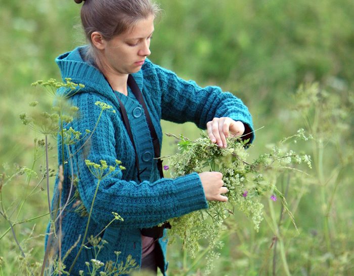 Erbe aromatiche: le varietà più originali
