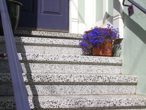 Fiori blu: giacinti e muscari per il tuo terrazzo