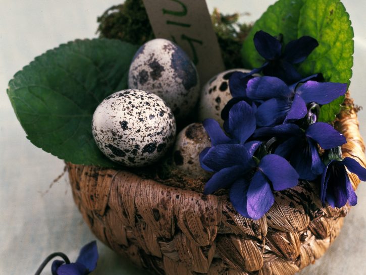 Idee segnaposto con i fiori: Pasqua fai da te