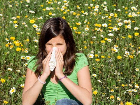 Allergie: come sopravvivere al polline