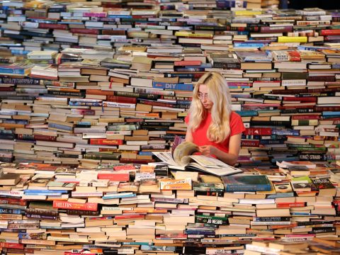 Come organizzare una libreria perfetta