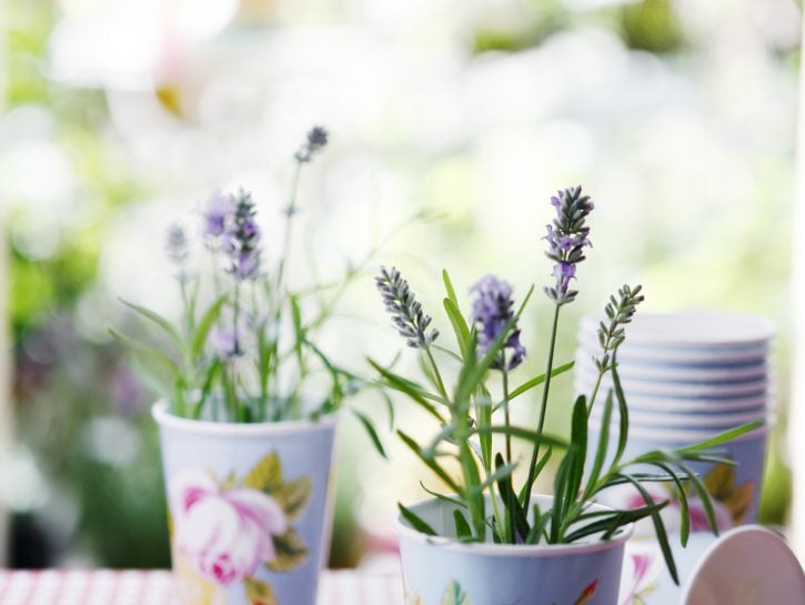 Decorare la tavola con i fiori: profumo di lavanda