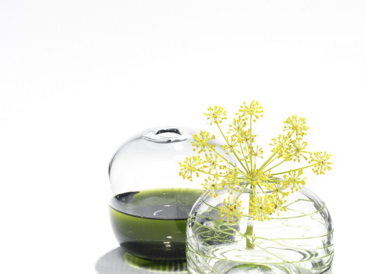Ti hanno regalato un fiore? Il vaso giusto per valorizzarlo