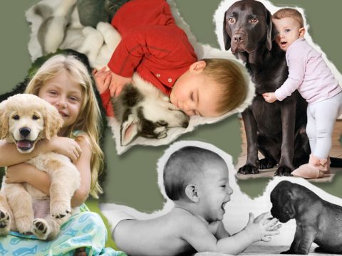 Bambini e animali: un'accoppiata irresistibile!