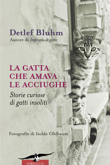 La gatta che amava le acciughe, di Detlef Bluhm