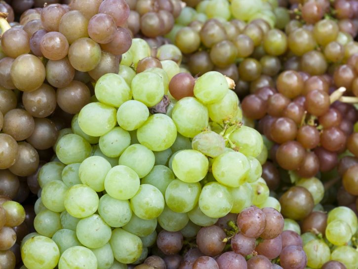 L'uva Vittoria con il risotto