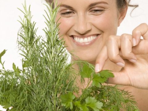 Le erbe efficaci contro la stitichezza