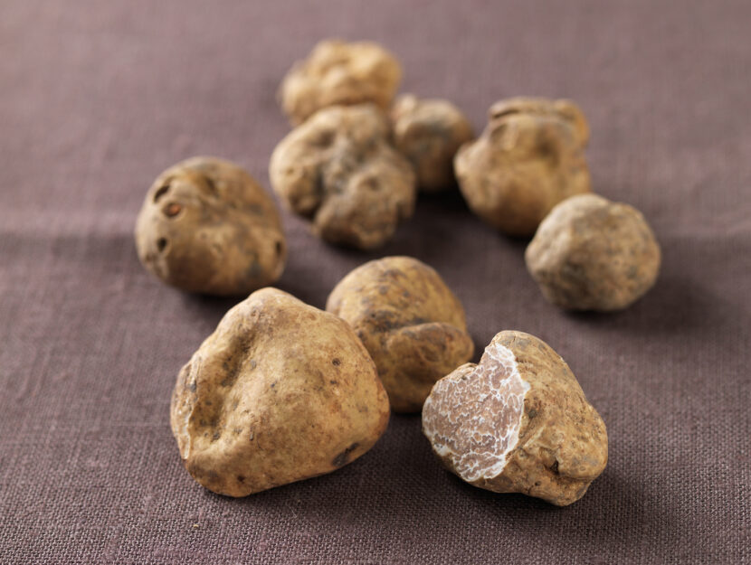 Cibi afrodisiaci: tartufo