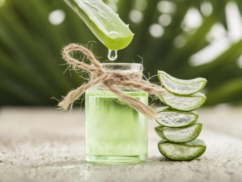 L’aloe vera è un ingrediente di benessere dalle mille virtù: usala così