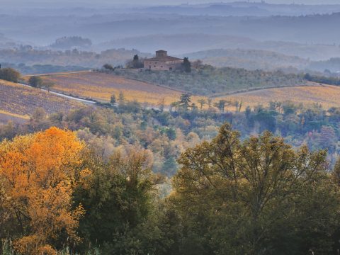 Trekking: percorsi e consigli per camminare nella natura