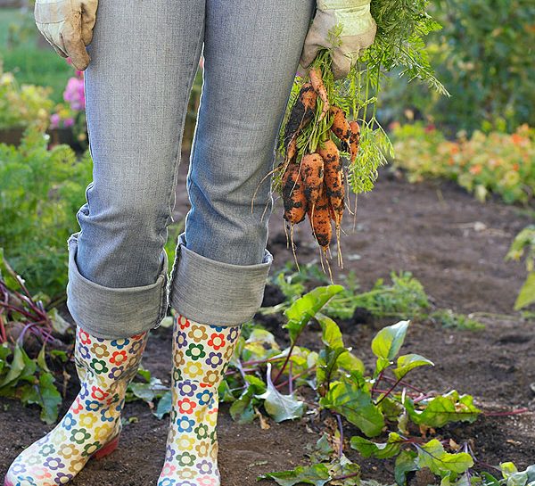 L'orto in giardino step by step
