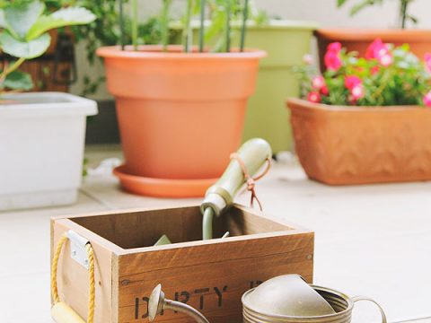 Orto sul balcone fai da te