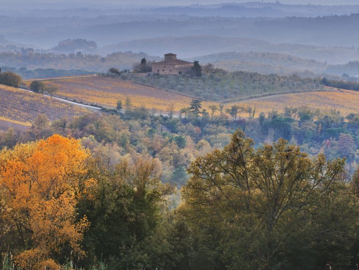 A PIEDI SULLA VIA FRANCIGENALa vitalità della natura si mescola all'atmosfera di una cultura