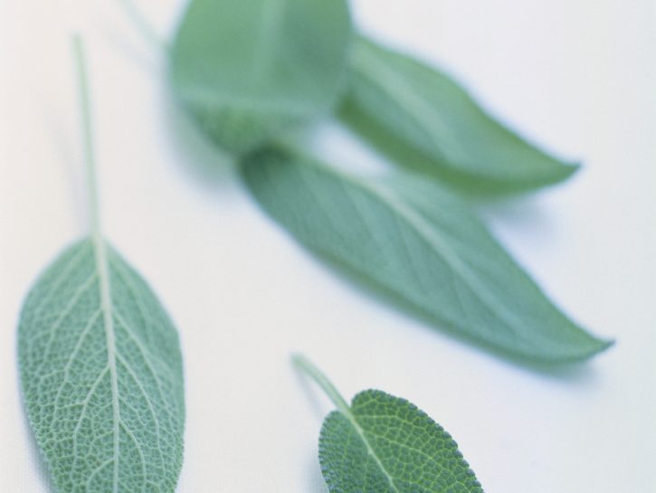 Salvia in cucina