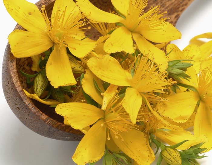 Benefici e controindicazioni di 9 integratori alimentari naturali