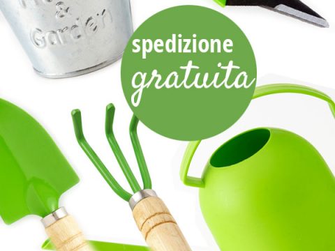 Il giardino in un vaso: ecco gli strumenti che ti servono