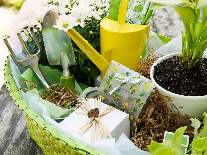 Per la festa della mamma: un regalo green