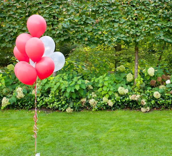 La location per il baby party