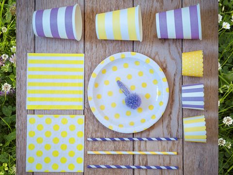 Gli accessori giusti per un picnic eco