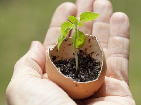 10 (+1) piccoli grandi gesti che salvano il mondo, ogni giorno