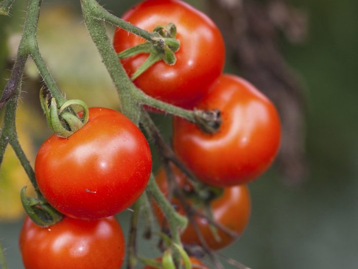 Sangue: dieta detox