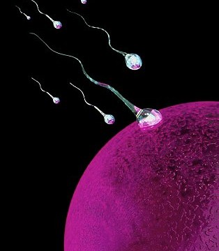 Con l'eterologa per tante coppie c’è una nuova speranza