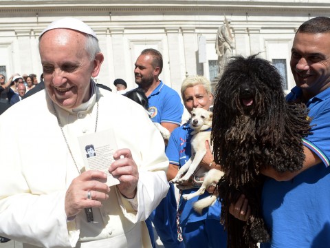 Papa Francesco non ama gli animali. Peccato