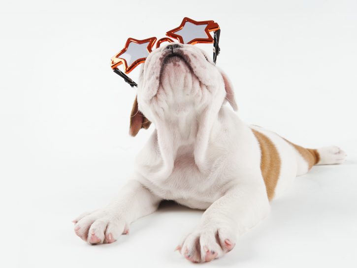 7 must have per un'estate bestiale