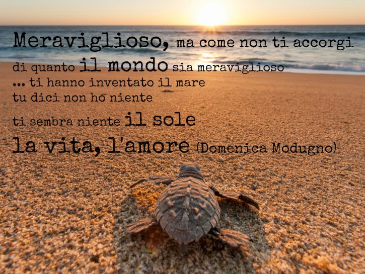 Imparare a essere flessibile per vivere meglio