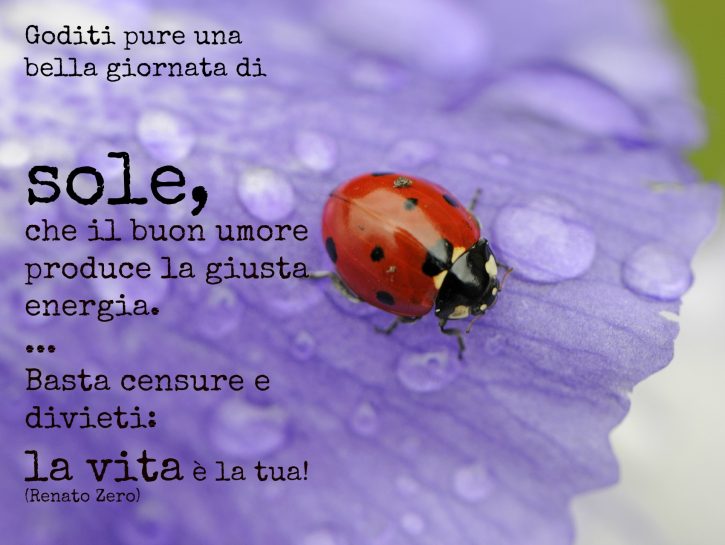 Natura: il posto dell'anima
