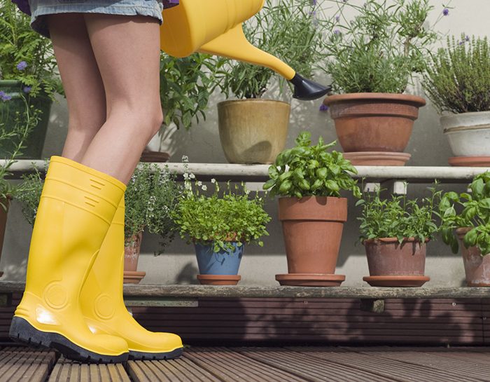 Crea il tuo giardino d’aromi sul balcone