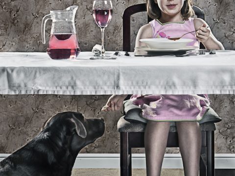I cibi proibiti a cani e gatti