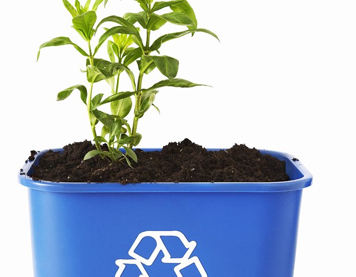 Come si prepara il compost