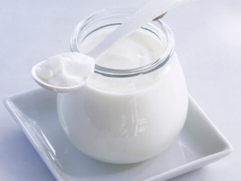 Yogurt fatto in casa