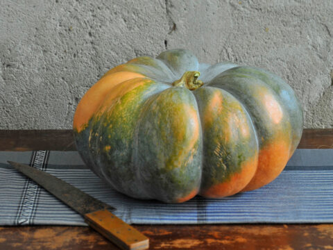 Zucca: tutto quello che devi sapere