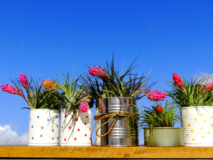Giardino: come utilizzare dei vasi rovesciati
