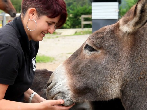 Il sogno possibile di Moira, la ragazza degli asini