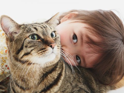Bambini e gatti: convivenza ideale
