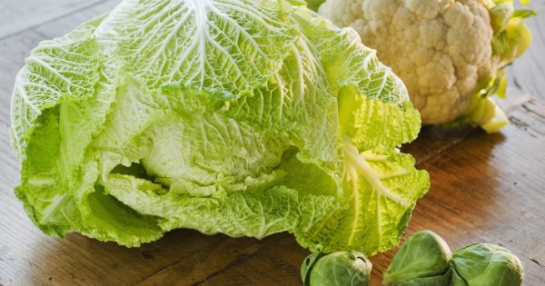 14 ricette con gli ortaggi invernali - Donna Moderna