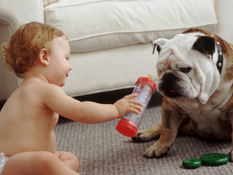 È proprio vero che cani e bambini vanno d'accordo?