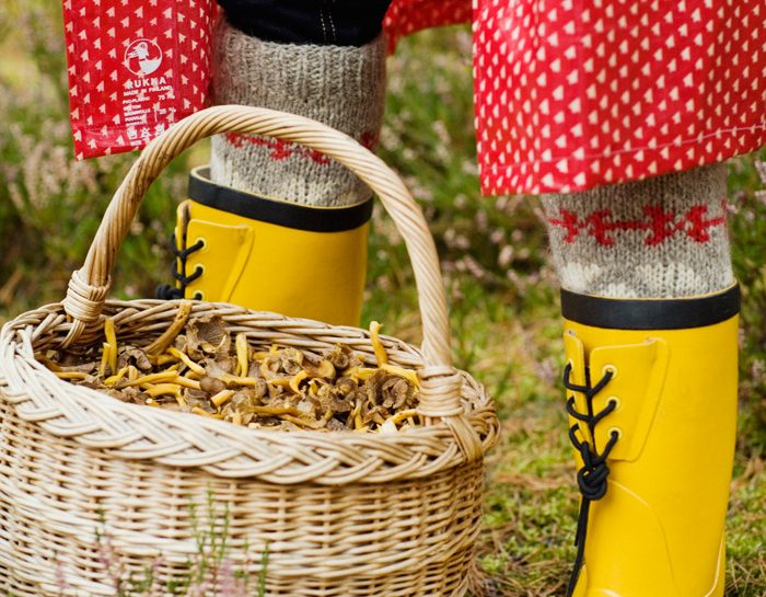 Funghi, leggeri e antiossidanti