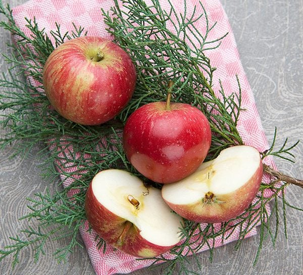 Centrotavola Natalizio Mele.Decorazioni Natalizie Sfrutta La Natura Per Risparmiare Donna Moderna